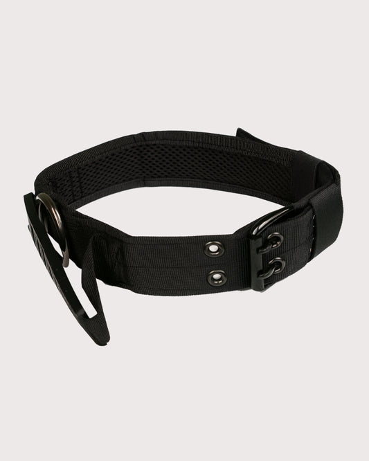 Furbeez Pet Accessories : Black Tactical Dog Collar Medium