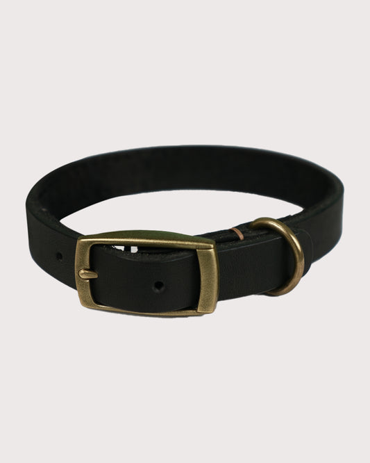 Furbeez Pet Accessories : Black Leather Dog Collar Medium