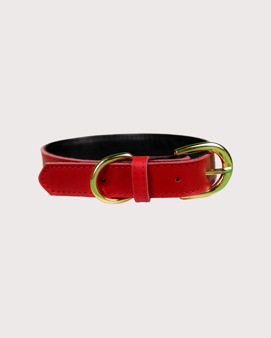 Furbeez Pet Accessories : Red Leather Classic Soft Dog Collar Collar Large