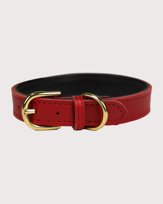 Furbeez Pet Accessories : Red Leather Classic Soft Dog Collar Collar Medium