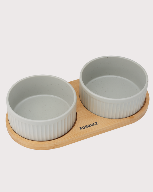 Furbeez Pet Accessories : Ceramic Dual Pet water Food Bowl Green Furbeez