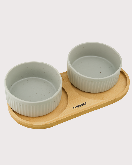 Furbeez Pet Accessories : Ceramic Dual Pet water Food Bowl Green Furbeez