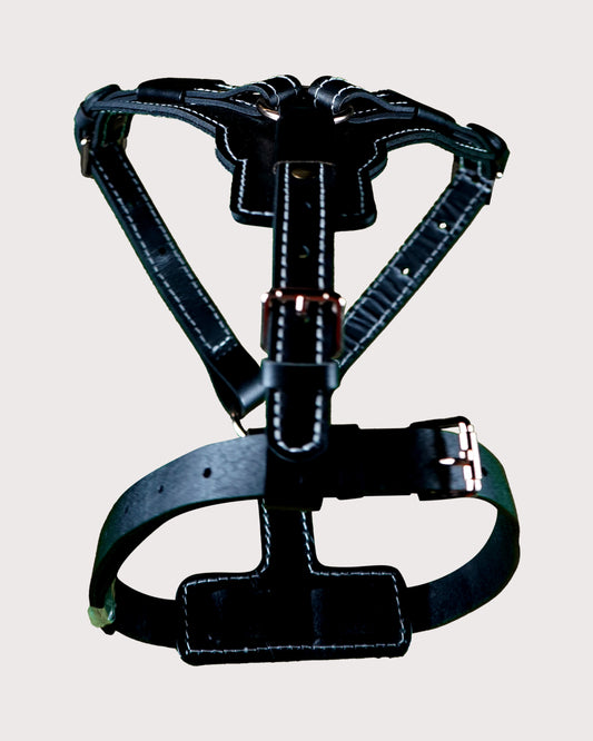Furbeez Pet Accessories : Black Dog Genuine Leather Harness Large