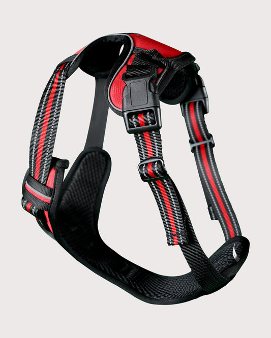 Furbeez Pet Accessories : Dog Harness Red/XL