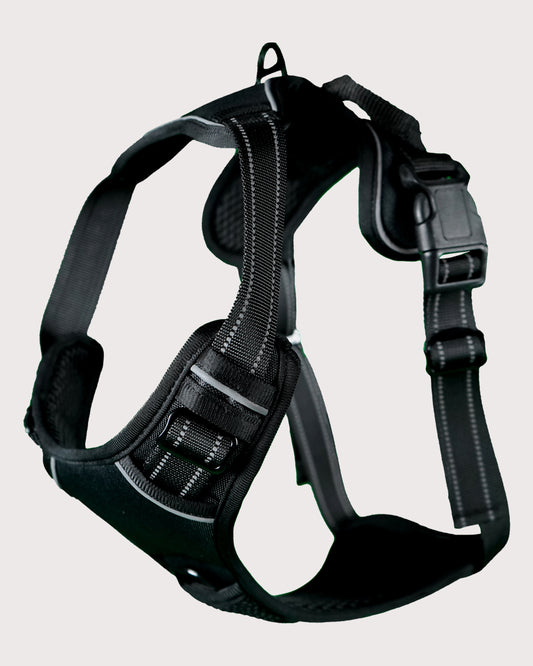 Furbeez Pet Accessories : Dog Harness Black/XL