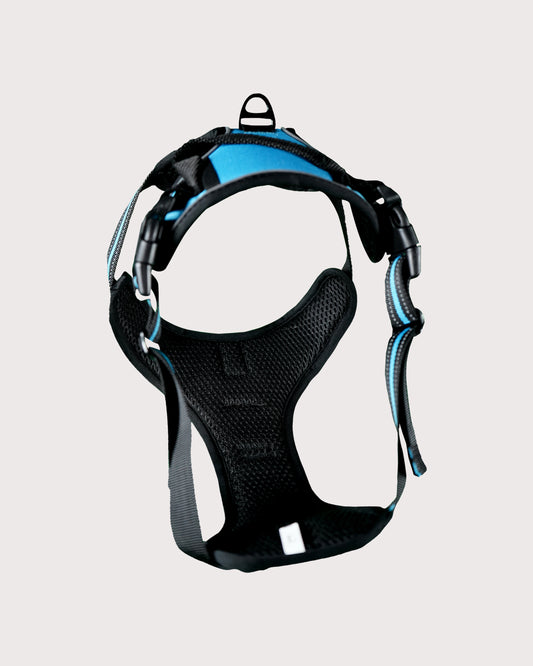 Furbeez Pet Accessories : Dog Harness Blue/XL
