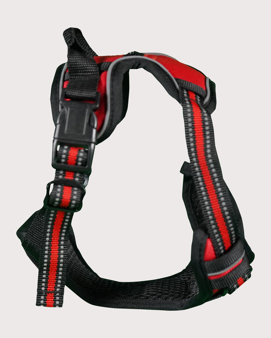 Furbeez Pet Accessories : Dog Harness Red/Small