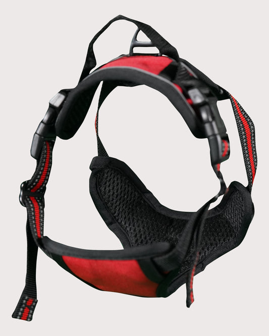 Furbeez Pet Accessories : Dog Harness Red/Small