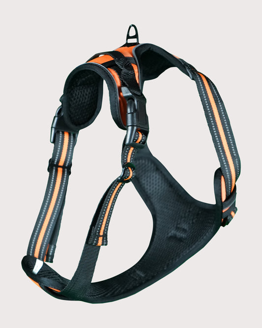 Furbeez Pet Accessories : Dog Harness Orange/XL