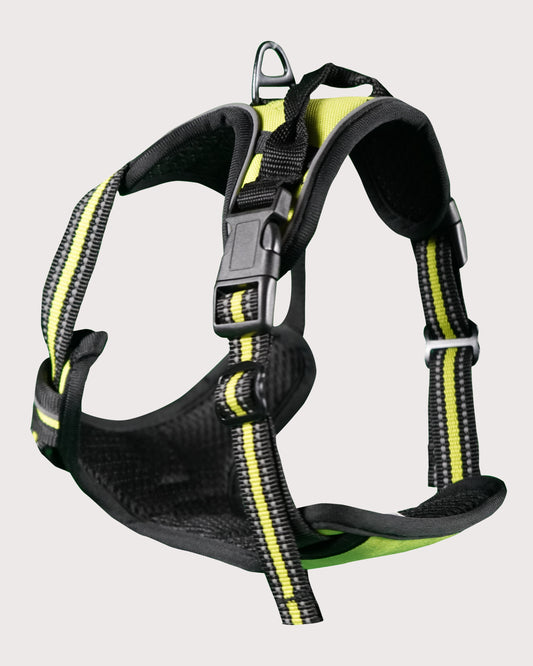 Furbeez Pet Accessories : Dog Harness Green/Medium