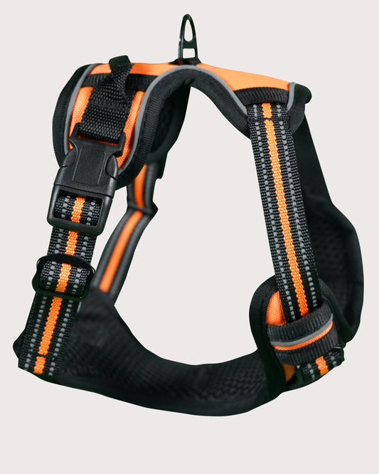 Furbeez Pet Accessories : Dog Harness Orange/Medium