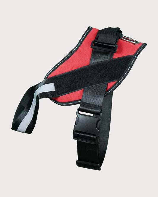 Furbeez Pet Accessories : Dog Harness Red/Large