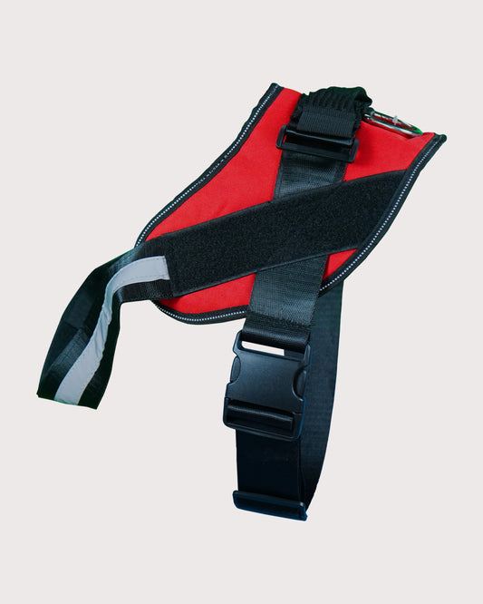 Furbeez Pet Accessories : Dog Harness Red/Medium