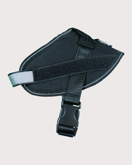 Furbeez Pet Accessories : Dog Harness Black/Medium