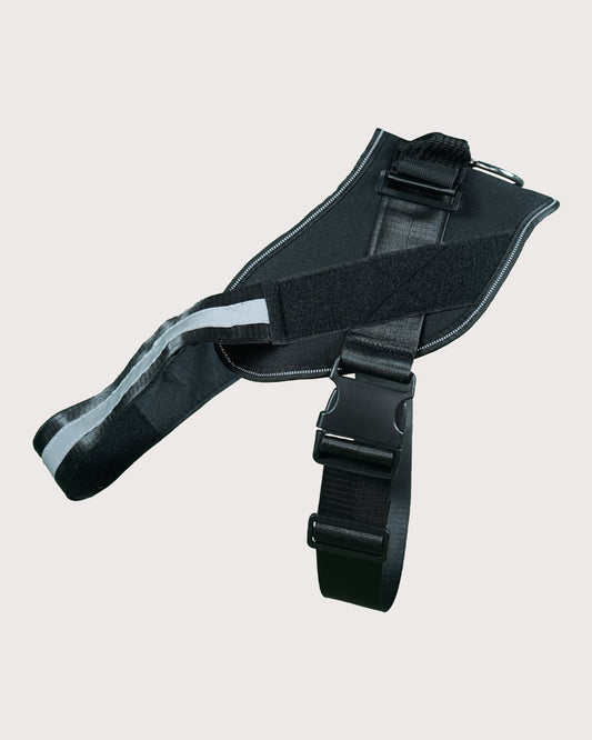 Furbeez Pet Accessories: Dog Harness Black/XL
