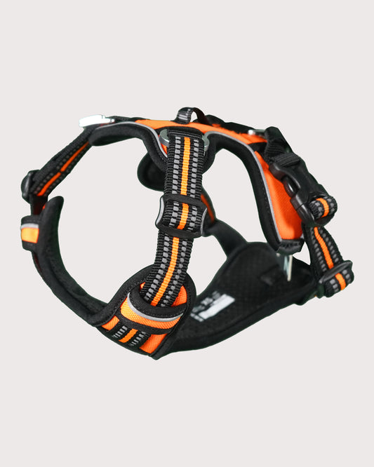 Furbeez Pet Accessories : Dog Harness Orange/Xs