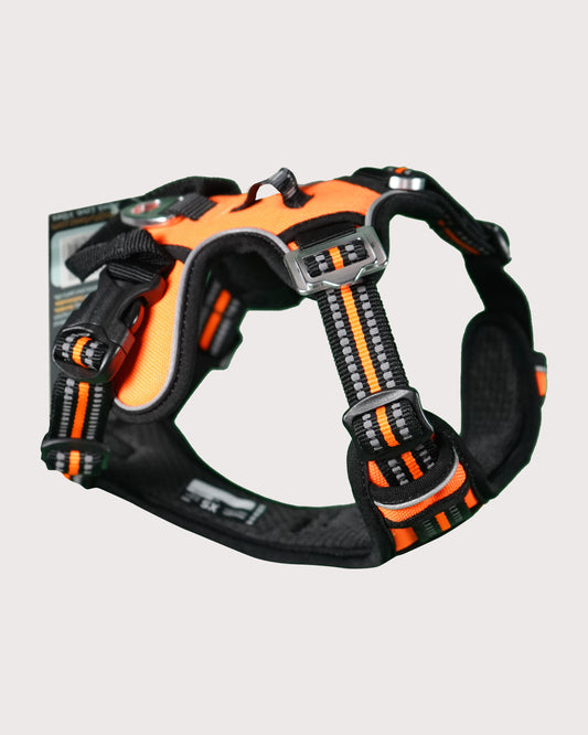 Furbeez Pet Accessories : Dog Harness Orange/Xs