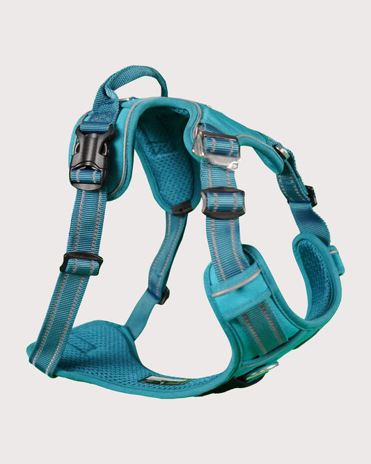 Furbeez Pet Accessories : Dog Harness Sky Blue/Large