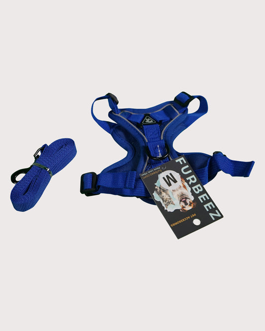 Furbeez Pet Accessories : Dog Harness Blue/Medium