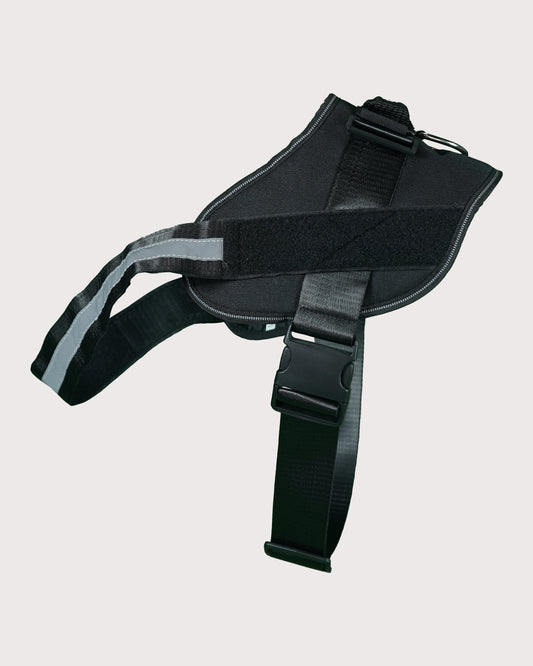 Furbeez Pet Accessories : Dog Harness Black/XXL