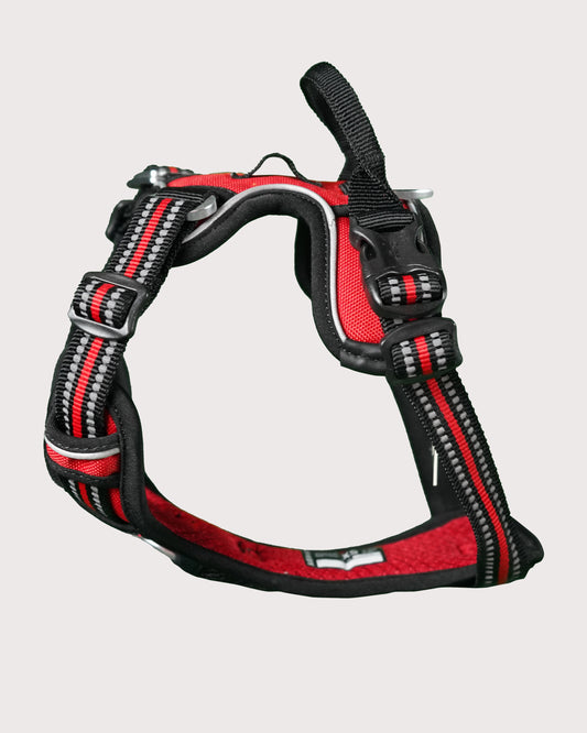 Furbeez Pet Accessories : Dog Harness Red/XS
