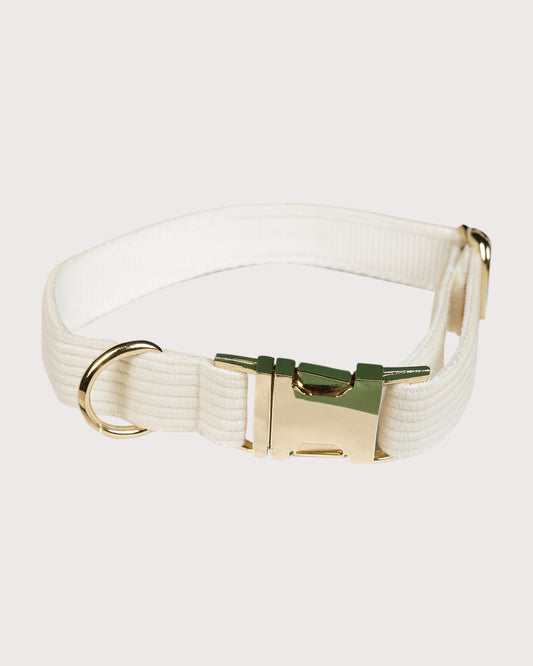 Furbeez Pet Accessories : White Dog Collar Medium