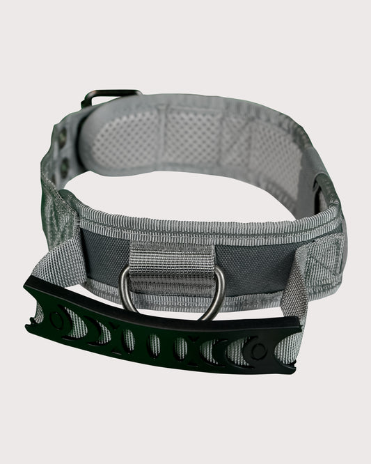 Furbeez Pet Accessories : Gray Tactical Dog Collar Large