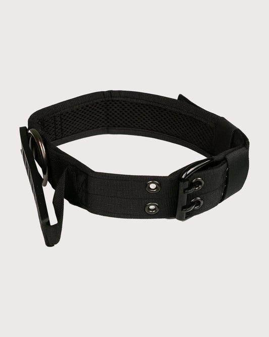 Furbeez Pet Accessories : Black Tactical Dog Collar Large