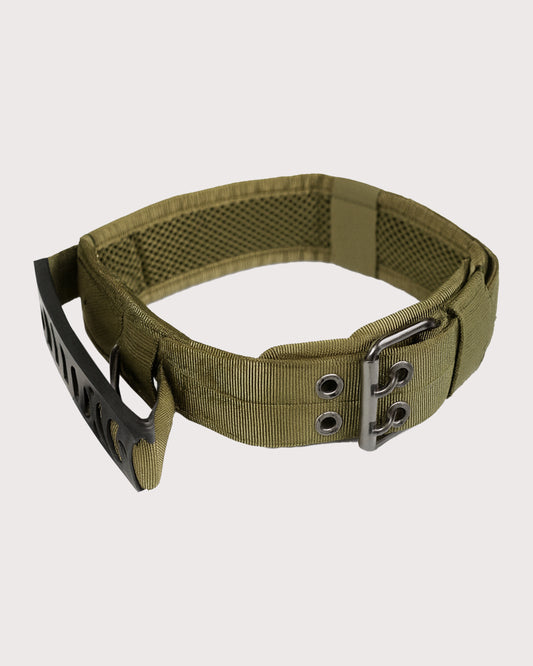 Furbeez Pet Accessories : Green Dog Collar Large