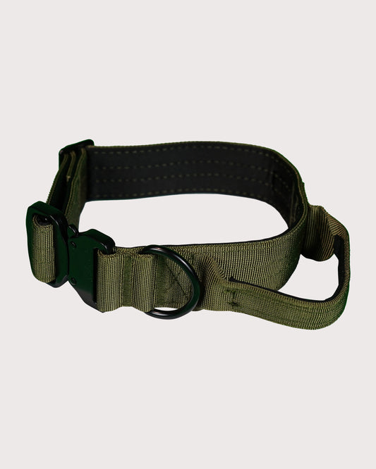 Furbeez Pet Accessories : Green Tactical Dog Collar Large