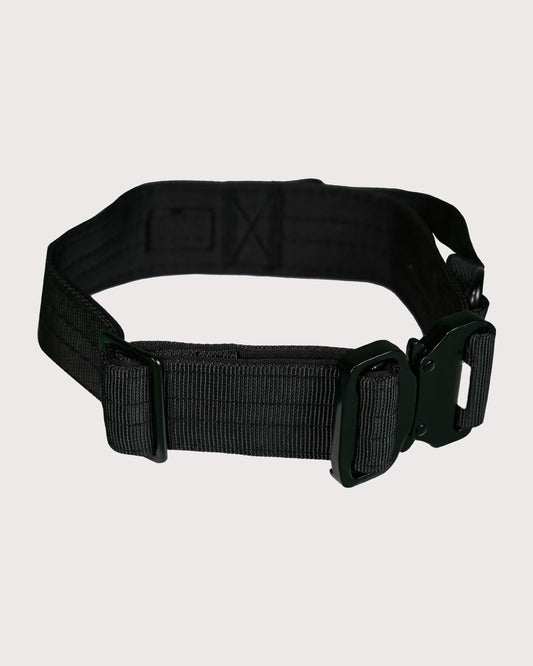 Furbeez Pet Accessories : Black Tactical Dog Collar Medium
