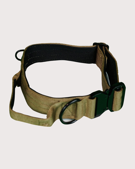 Furbeez Pet Accessories : Khaki Tactical Dog Collar Large