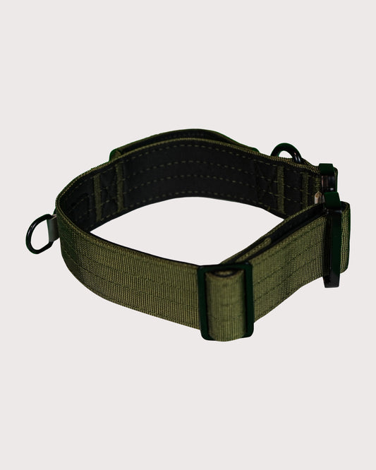 Furbeez Pet Accessories : Green Tactical Dog Collar Medium