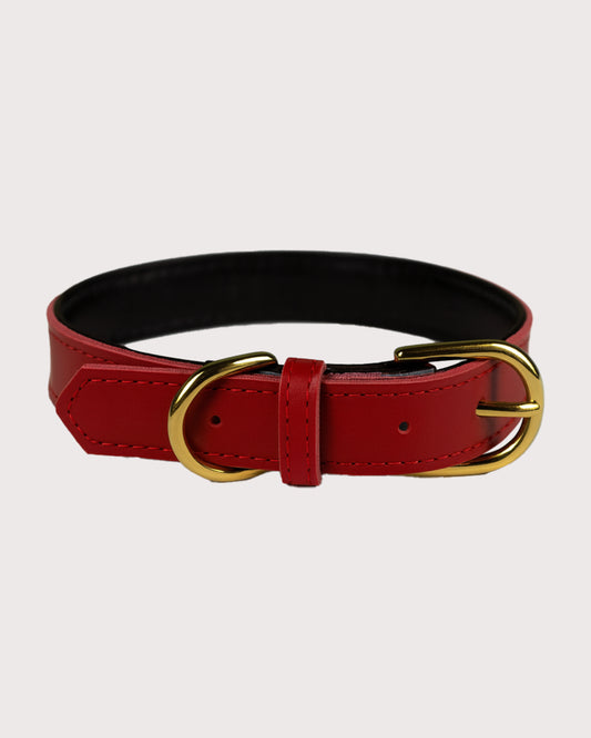 Furbeez Pet Accessories : Red Leather Classic Soft Dog Collar Collar XS