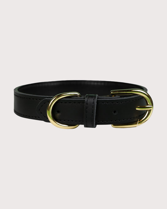 Furbeez Pet Accessories : Black Leather Classic Soft Dog Collar Collar Small