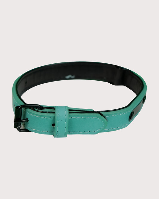 Furbeez Pet Accessories : Green Dog Collar Small