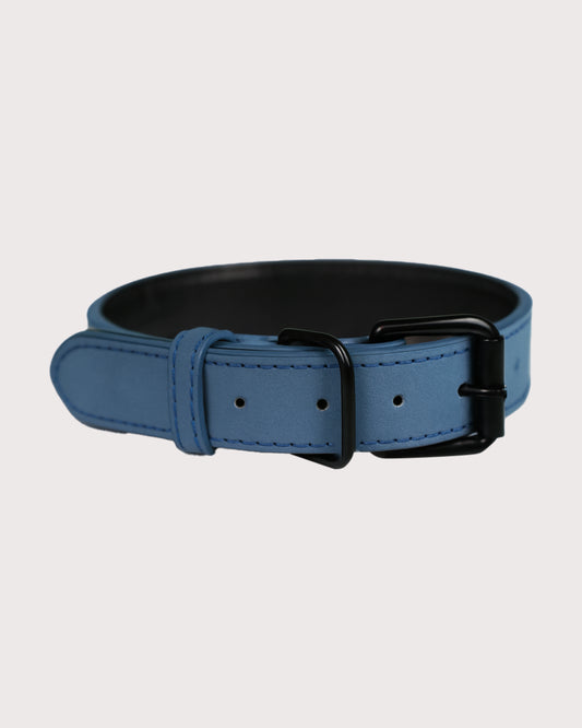 Furbeez Pet Accessories : Blue Dog Collar Medium