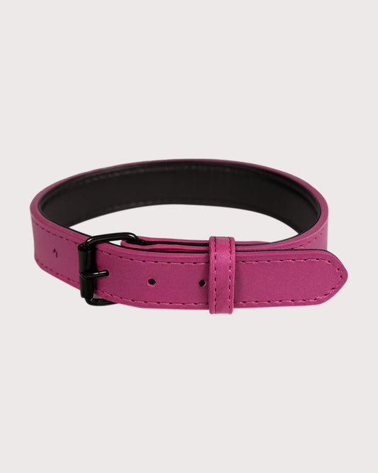 Furbeez Pet Accessories : Rose Red Collar Medium
