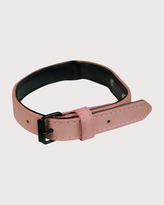 Furbeez Pet Accessories : Red Dog Collar Small