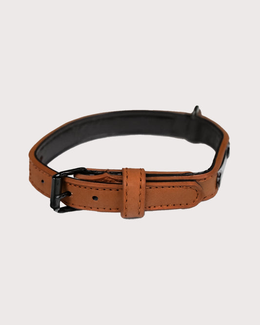 Furbeez Pet Accessories : Brown Dog Collar Xs