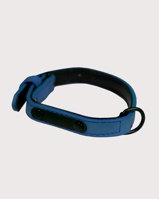 Furbeez Pet Accessories : Blue Dog Collar Xs