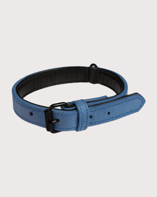 Furbeez Pet Accessories : Blue Dog Collar Small