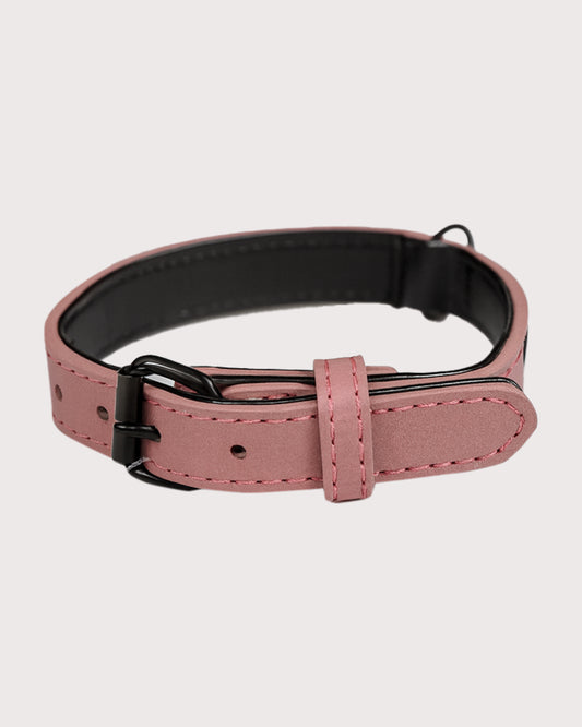 Furbeez Pet Accessories : Red Dog Collar Xs