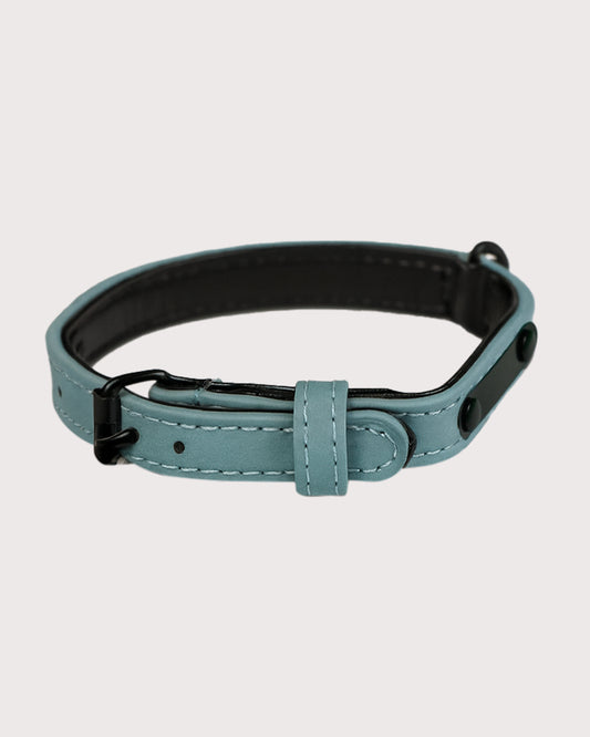 Furbeez Pet Accessories : Green Dog Collar Xs
