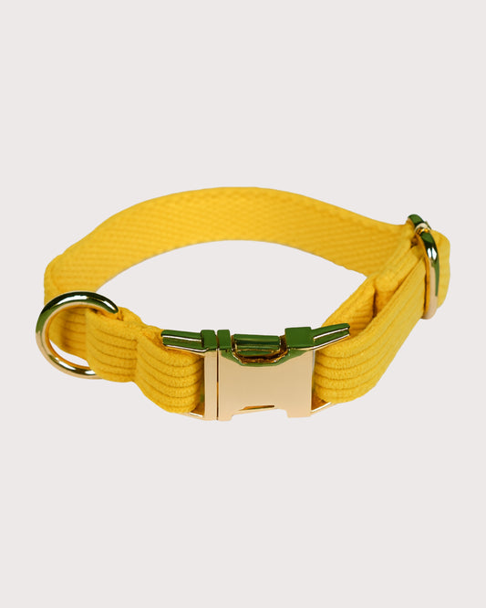 Furbeez Pet Accessories : Yellow Dog Collar XS