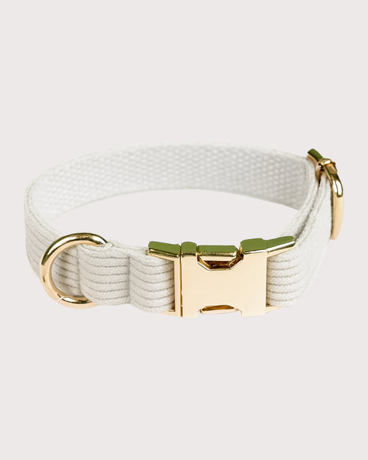 Furbeez Pet Accessories : Gray Dog Collar Small