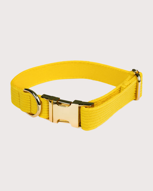 Furbeez Pet Accessories : Yellow Dog Collar Small