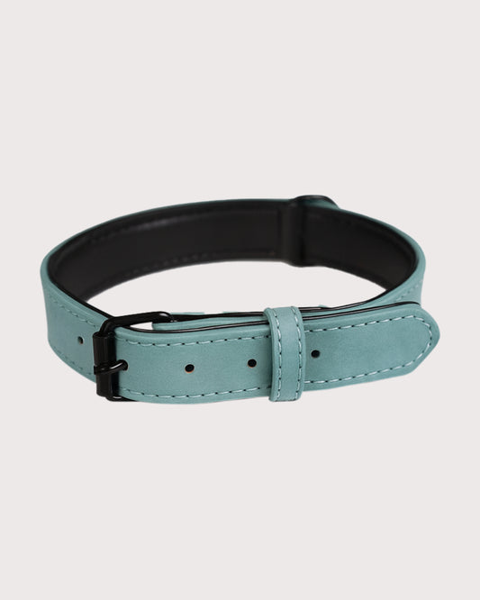 Furbeez Pet Accessories : Green Dog Collar Medium