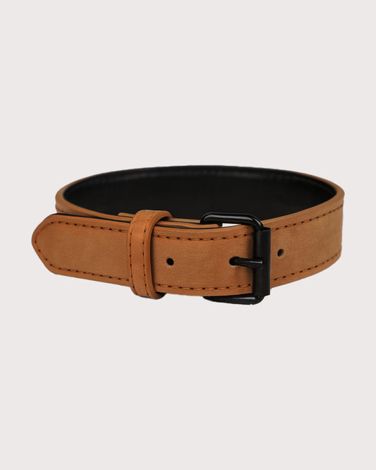 Furbeez Pet Accessories : Brown Dog Collar Large