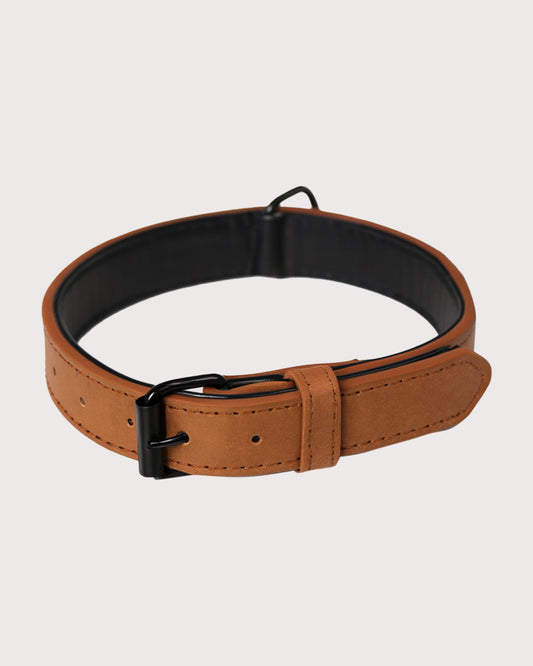 Furbeez Pet Accessories : Brown Dog Collar Medium